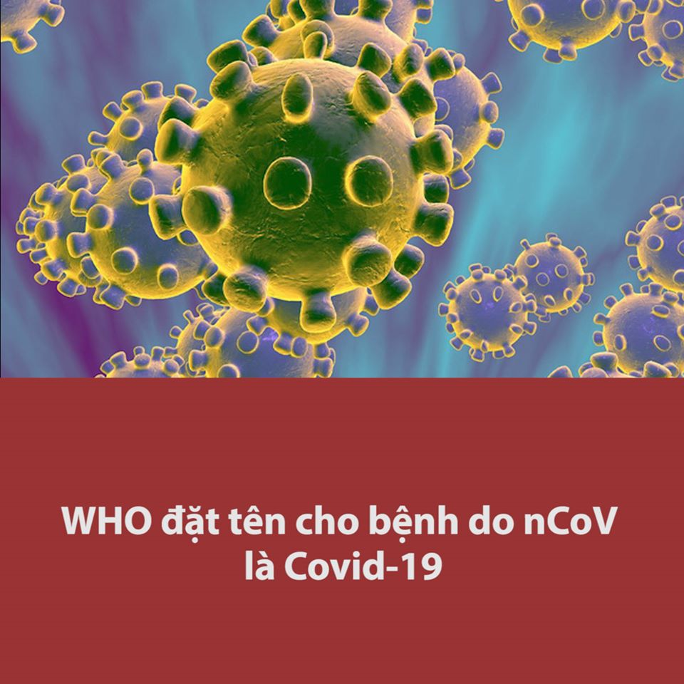 Virus là gì Sự hình thành của virus  Vinmec